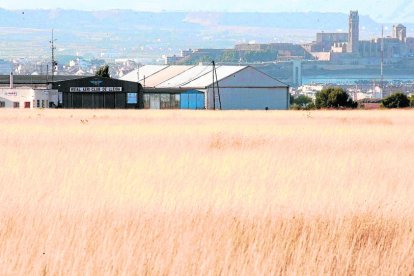 Vista d'arxiu de la timoneda d'Alfés amb les instal·lacions de l'aeròdrom tancat i la ciutat de Lleida al fons.