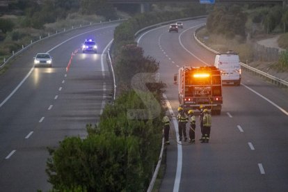 Efectius dels bombers treballant ahir en l'incendi