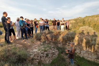 El jaciment ibèric, situat a la Móra, el gestiona Tàrrega.