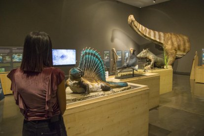 Exposición ‘Què tenim sota els peus?’, en el Museu de Lleida.