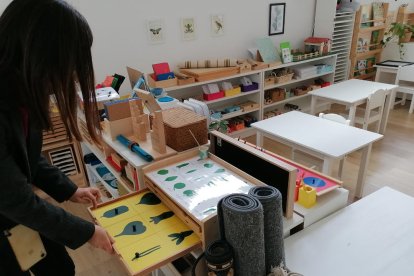 Material del centre Montessori per aprendre sobre botànica.