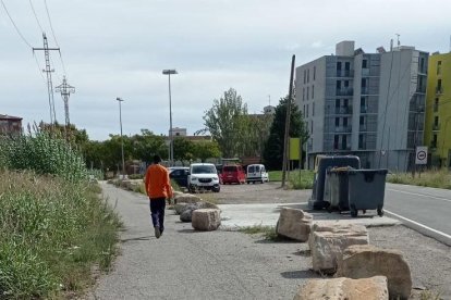 Un gos mort al Camí de la Mariola de Lleida.