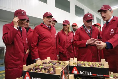 El ministre Luis Planas, segon per l’esquerra, en la seua visita a Actel Group ahir a Térmens.