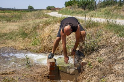 Agua del Segre para salvar la producción de fruta en el Canal d'Urgell