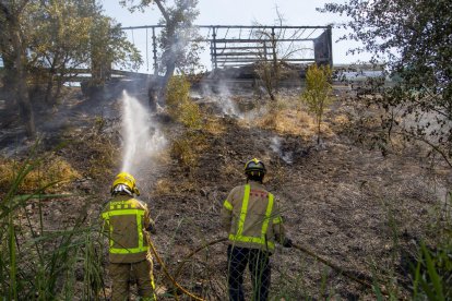 El fuego que calcinó el remolque en la AP-2 (arriba) afectó también la vegetación del margen.