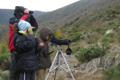 Turistas observando la berrea del ciervo en el Pallars Sobirà a mediados se septiembre.