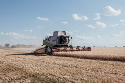 Imatge d’un camp de cereals a Ucraïna.