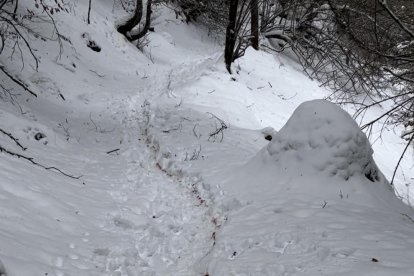 Un dels punts on s'han vist rastres de sang, a la Val d'Aran.