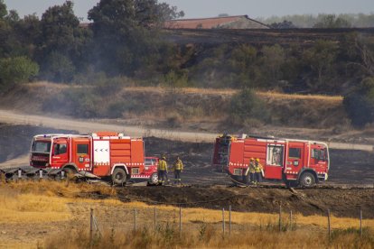 El foc es va declarar a les 15.56 hores i en l’extinció van participar una quinzena de mitjans.