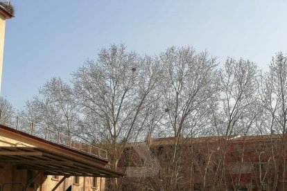 La màquina dels treballs d'enderroc de les sitges de Pardinyes, bolcada aquest dimecres.