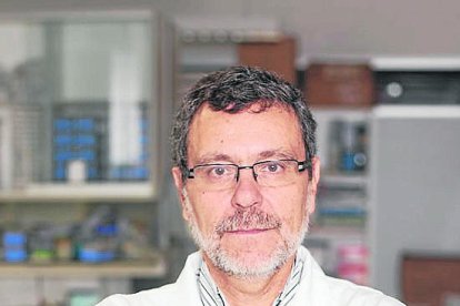 El doctor Xavier Matias-Guiu.