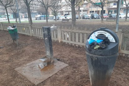 Una paperera per a excrements de gos plena fins a dalt i restes de botelló en unes escombraries, ahir.