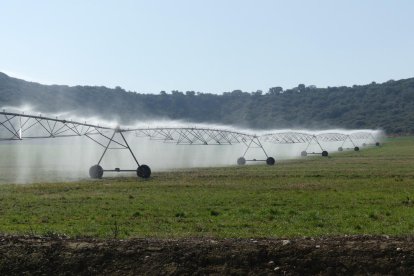 Camps de l’Aragó i Catalunya regant al ratificar l’augment de les dotacions.