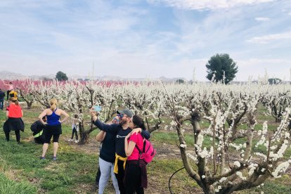 Más de 350 personas visitan los campos floridos de Torrent y Velilla