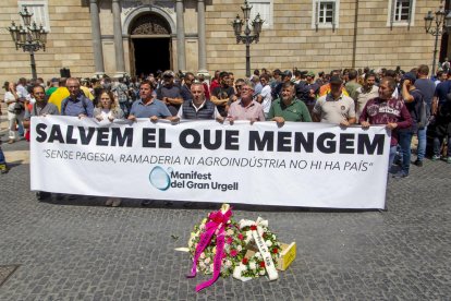 Alguns dels manifestants a la plaça Sant Jaume amb les caixes de pomes i les corones de flors.