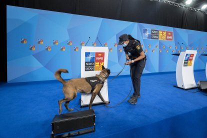 Una agente con un perro adiestrado busca explosivos en IFEMA Madrid de cara a la cumbre de la OTAN.