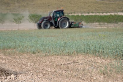 Un tractor fent tasques al camp en una fotografia d’arxiu.