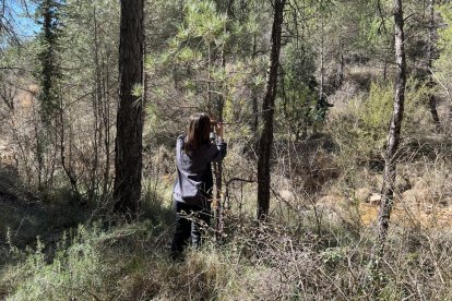 Una investigadora durant els treballs de camp sobre gestió de boscos i aportació d’aigua.