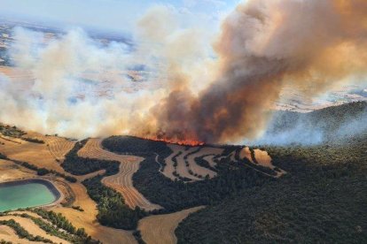 Vista del incendio de Artesa.