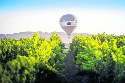 Globus aerostàtic per recórrer les vinyes des de l’aire.