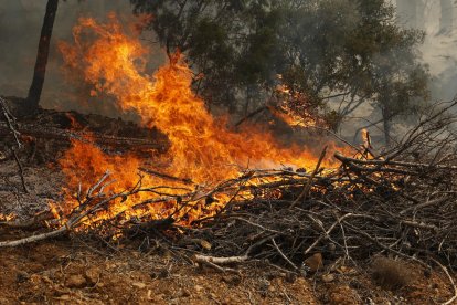 La Fiscalia investiga l'incendi de Castelló que va cremar 4.700 ha