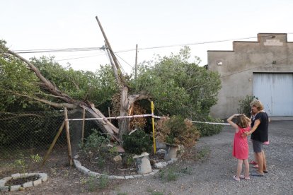 Vecinos de torres de la partida de Montcada, en Lleida, seguían sin luz anoche después de la caída de árboles sobre cables eléctricos.