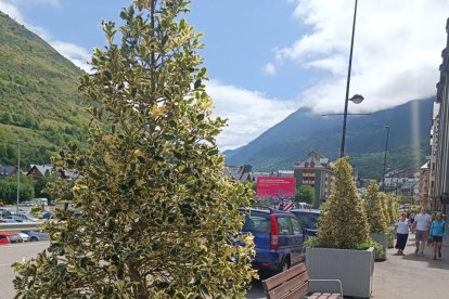 Los arbustos y plantas de la avenida Pas d’Arró de Vielha. 