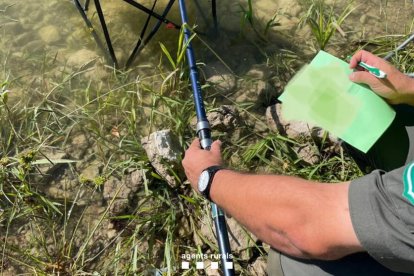 Pescando sin licencia en una balsa de Juneda