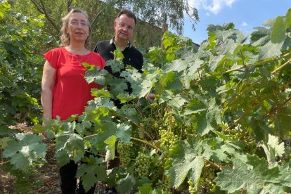 La Escola d'Hoteleria de Lleida llega a un acuerdo con Codorniu y Lagravera