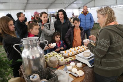 Sort acoge la XI edición de la Mostra de Formatges de Catalunya