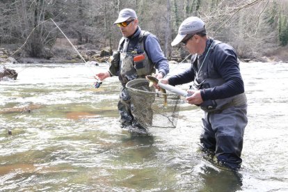 Campeonato de pesca en el Sobirà  -  El Pallars Sobirà acoge estos días a ochenta deportistas que participan en el VI Campeonato de España de Salmónidos en la modalidad Mosca Masters. De esta competición saldrán los pescadores que representa ...