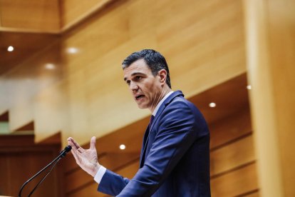 El presidente del Gobierno, Pedro Sánchez, comparece ante el Pleno del Senado este martes.