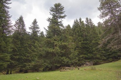 La Mata de València, al Pallars Sobirà