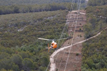 Imatge d’un helicòpter sobrevolant una línia elèctrica.