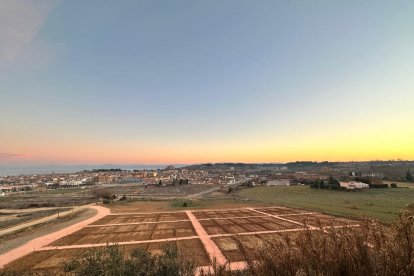 La zona de los huertos urbanos cerca del polideportivo. 