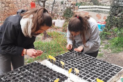 Membres d’Eixarcolant plantant llavors.