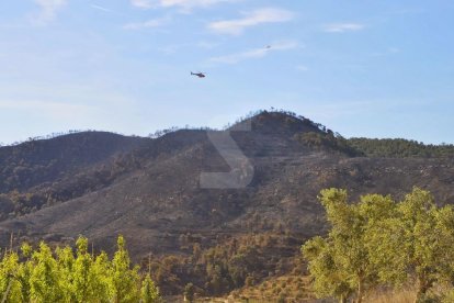 Zona cremada per l'incendi aquest diumenge al Segrià.