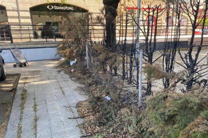 Tanques cremades a la plaça del número 64 de passeig de Ronda.