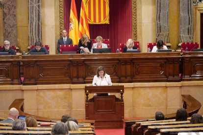 La síndica d’Aran, ahir durant la intervenció al Parlament.