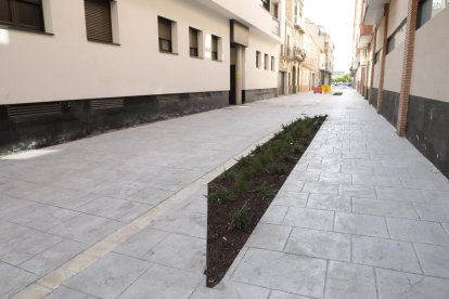 Minijardines en la calle Girona