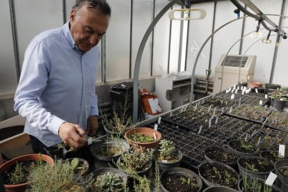 Banc a l'Arborètum amb llavors de mil plantes, una vintena en extinció