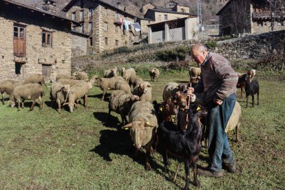 Crisi al pla i el Pirineu - Martí Escudé és un pastor de l’EMD de Civís, al municipi de les Vall de Valira, a qui igual que a altres ramaders el preocupa la falta de pastures i l’encariment dels preus. De la llana de les ovelles del seu ram ...