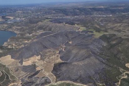 Imagen aérea de la zona afectada por el incendio entre Mequinensa y La Granja d’Escarp. 