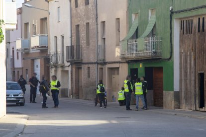 Els Mossos van fer l’escorcoll dimarts al pensar-se que es tractava d’una plantació de marihuana.