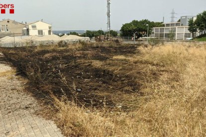 L’incendi en un descampat del Camí de l’Albi de Lleida.