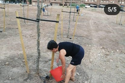 Una veïna rega un dels arbres del solar d’Alcalde Pujol.