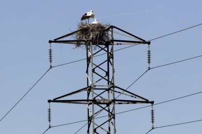 El preu de l’electricitat baixarà avui lleument.