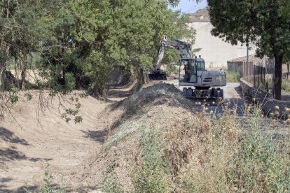 Imagen de los trabajos de limpieza de la ribera del Sió. 