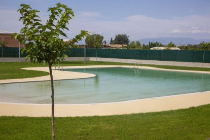 Vista presa ahir de la nova piscina de Vilagrassa.