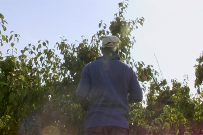 Captura del documental ‘El cost de la fruita’ de Clara Barbal y Pablo Rogero, sobre explotación laboral. 